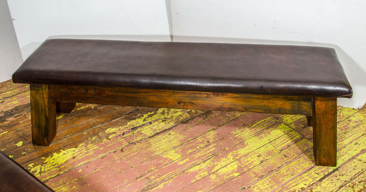 European Leather Gymcana Bench